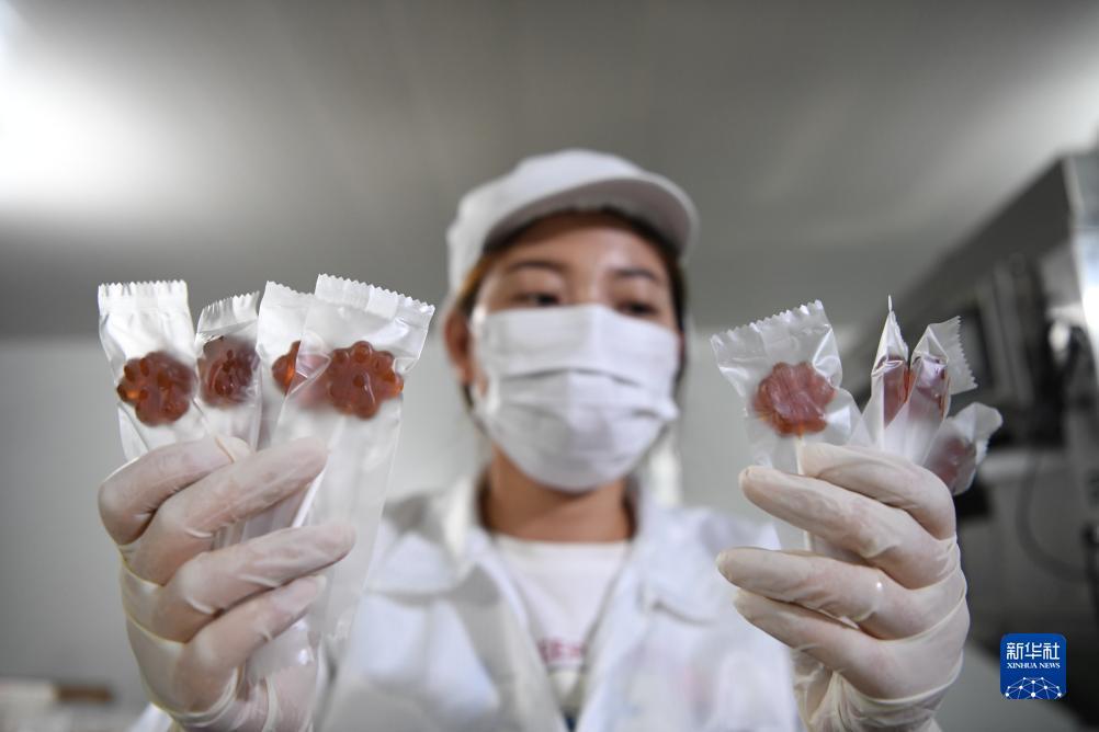 79博策略论坛
